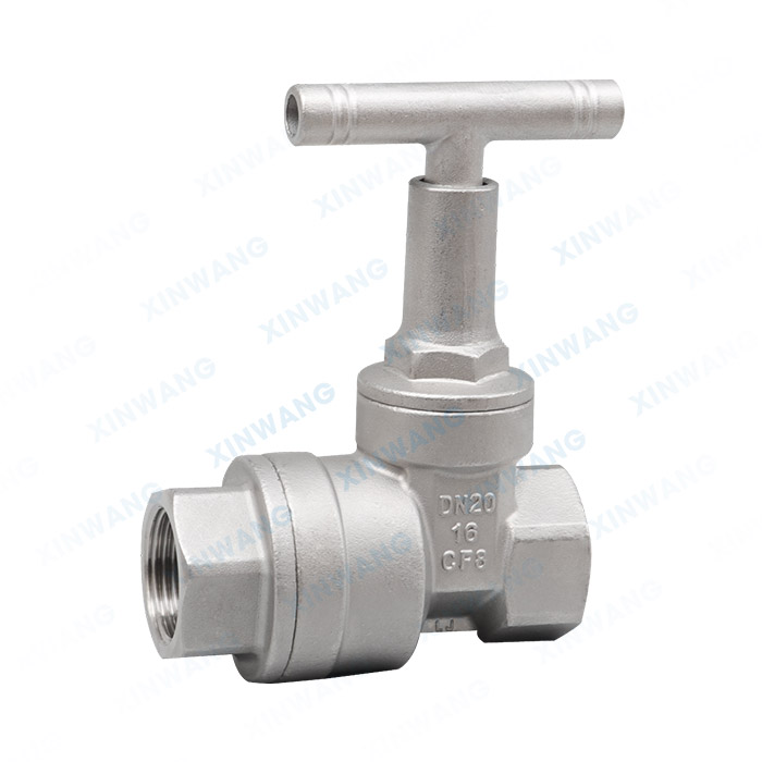 防盗闸阀带止回阀