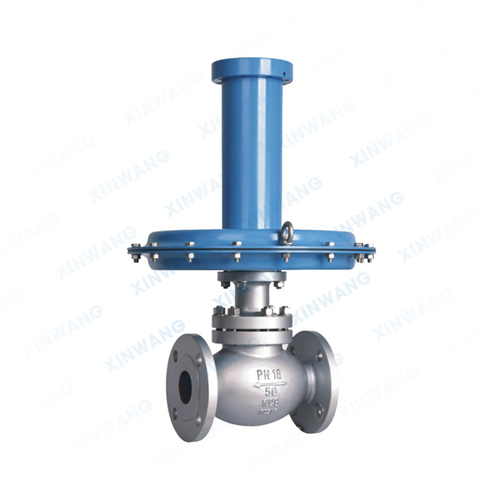 ZZVP自力式泄氮阀